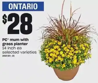 Independent Grocer Pc mum with grass planter offer