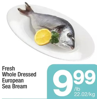 Fresh whole dressed european sea bream