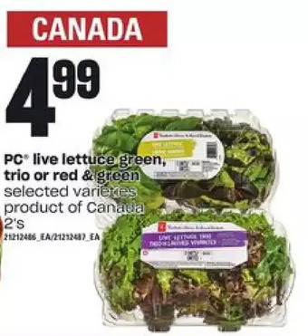 Loblaws Pc live lettuce green, trio or red & green offer