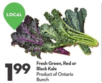 Longo's Fresh green, red or black kale offer