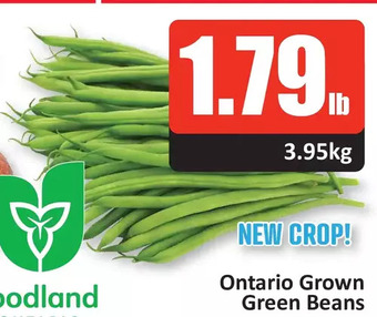 Starsky Green beans offer