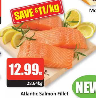 Starsky Atlantic salmon fillet offer