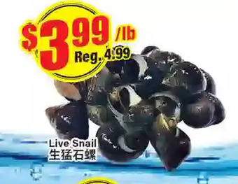 Btrust Supermarket Live snail offer