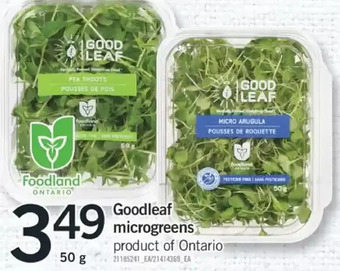 Fortinos Goodleaf microgreens offer