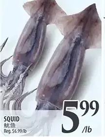 Al Premium Food Mart Squid offer