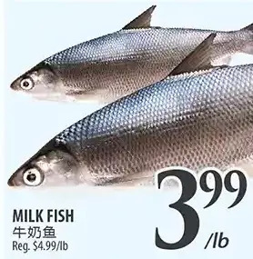 Al Premium Food Mart Milk fish offer