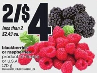 Loblaws Blackberries or Raspberries 170 g offer