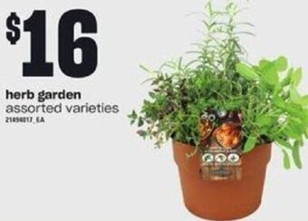 Loblaws Herb Garden offer