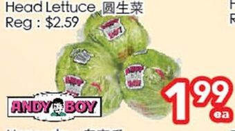 Superking Supermarket Head lettuce offer
