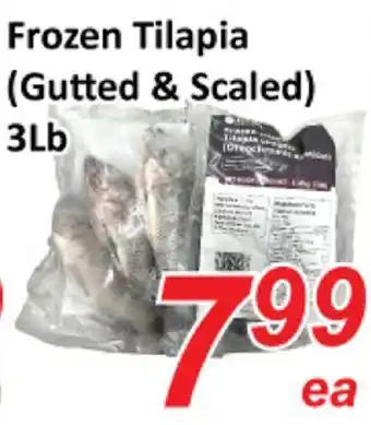 Seasons Foodmart Frozen tilapia (gutted & scaled) offer