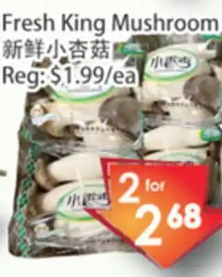 Fresh Palace Supermarket Fresh king mushroom offer