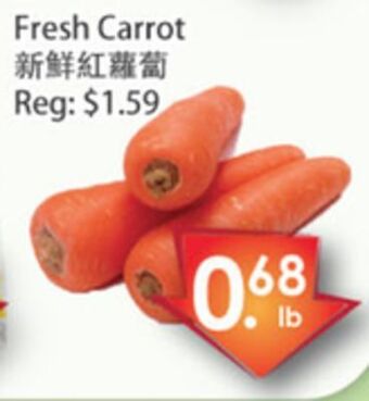Fresh Palace Supermarket Fresh carrot offer