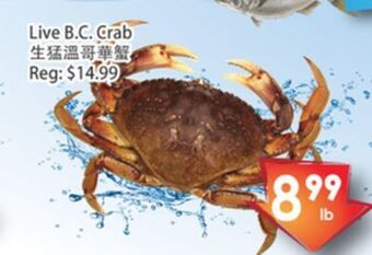 Fresh Palace Supermarket Live в.с. crab offer