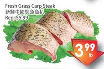 Fresh Palace Supermarket Fresh grass carp steak offer