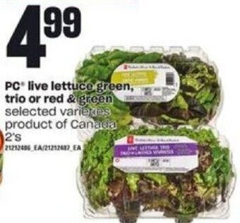 Loblaws PC Live Lettuce Green, Trio Or Red & Green 2's offer