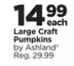 Michaels Large craft pumpkins by ashland offer
