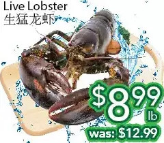 Ample Food Market Live lobster offer