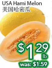 Ample Food Market Usa hami melon offer