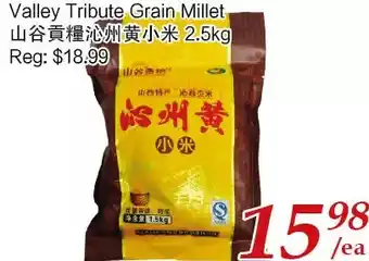 Tone Tai Supermarket Valley tribute grain millet offer