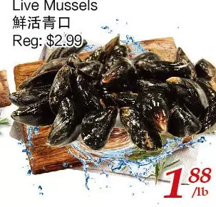 Tone Tai Supermarket Live mussels offer