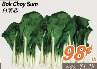Seasons Foodmart Bok choy sum offer