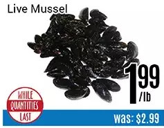 Nations Fresh Foods Live mussel offer