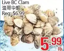 Hong Tai Supermarket Live bc clam offer