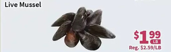 Blue Sky Supermarket Live mussel offer