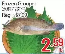 Hong Tai Supermarket Frozen grouper offer