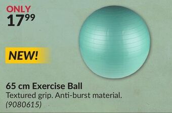 Princess Auto 65 cm exercise ball offer