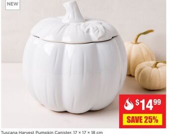 Kitchen Stuff Plus Tuscana harvest pumpkin canister offer