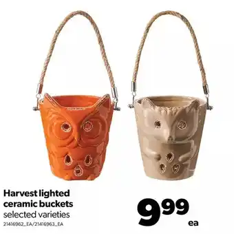 Real Canadian Superstore Harvest lighted ceramic buckets offer