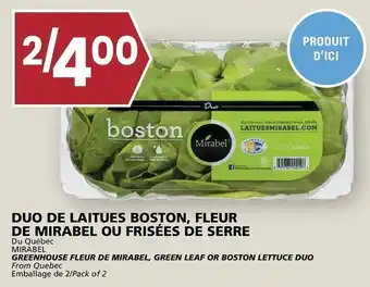 Rachelle-Bery Grocery Greenhouse Fleur De Mirabel, Green Leaf or Boston Lettuce Duo offer