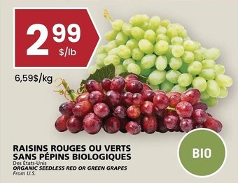 Rachelle-Bery Grocery Organic Seedless Red or Green Grapes offer