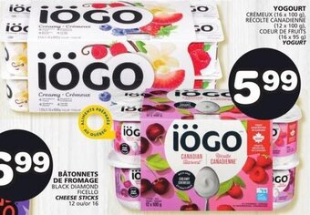 IGA Yogourt offer