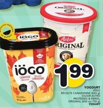 IGA Yogourt offer