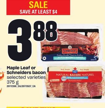 Loblaws Maple leaf or schneiders bacon, 375 g offer