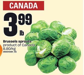 Loblaws Brussels sprouts offer