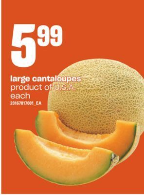 Loblaws Large cantaloupes offer
