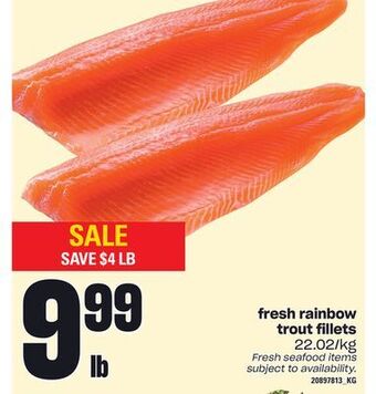 Independent Grocer Fresh rainbow trout fillets offer