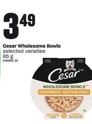 Independent Grocer Cesar wholesome bowls, 85 g offer