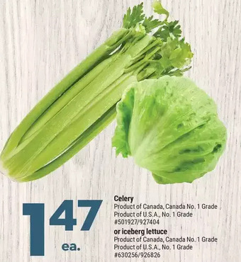 Giant Tiger Celery offer