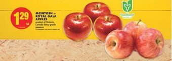 No Frills Mcintosh or royal gala apples offer