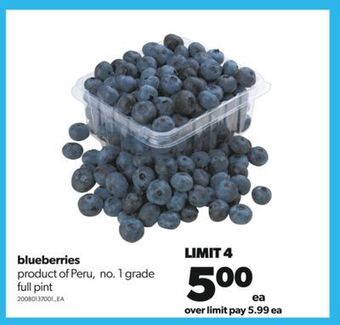 Real Canadian Superstore Blueberries offer