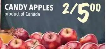 Farm Boy Candy apples offer