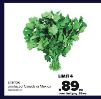 Real Canadian Superstore Cilantro offer