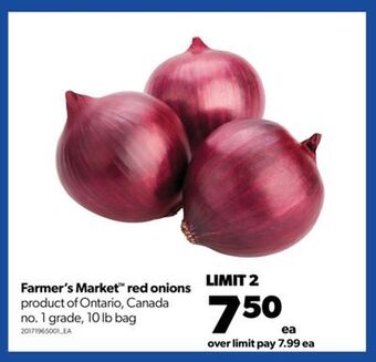 Real Canadian Superstore Farmer's market™ red onions, 10 lb bag offer