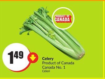 Chalo FreshCo Celery product of canada canada no. 1 offer
