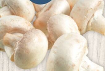 Giant Tiger 8 oz whole white mushrooms offer