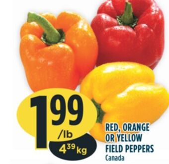 Marché Adonis Red, orange or yellow field peppers offer